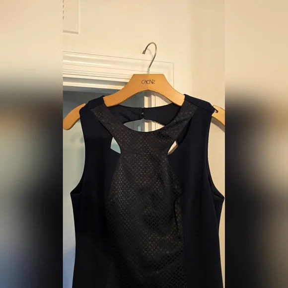 Cache Dress Womens Sleeveless Blue Textured Sheath Open Back Date Night Size 6 - Picture 6 of 10